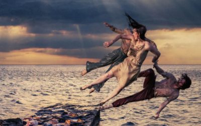 Salamander – Brisbane Festival booking now