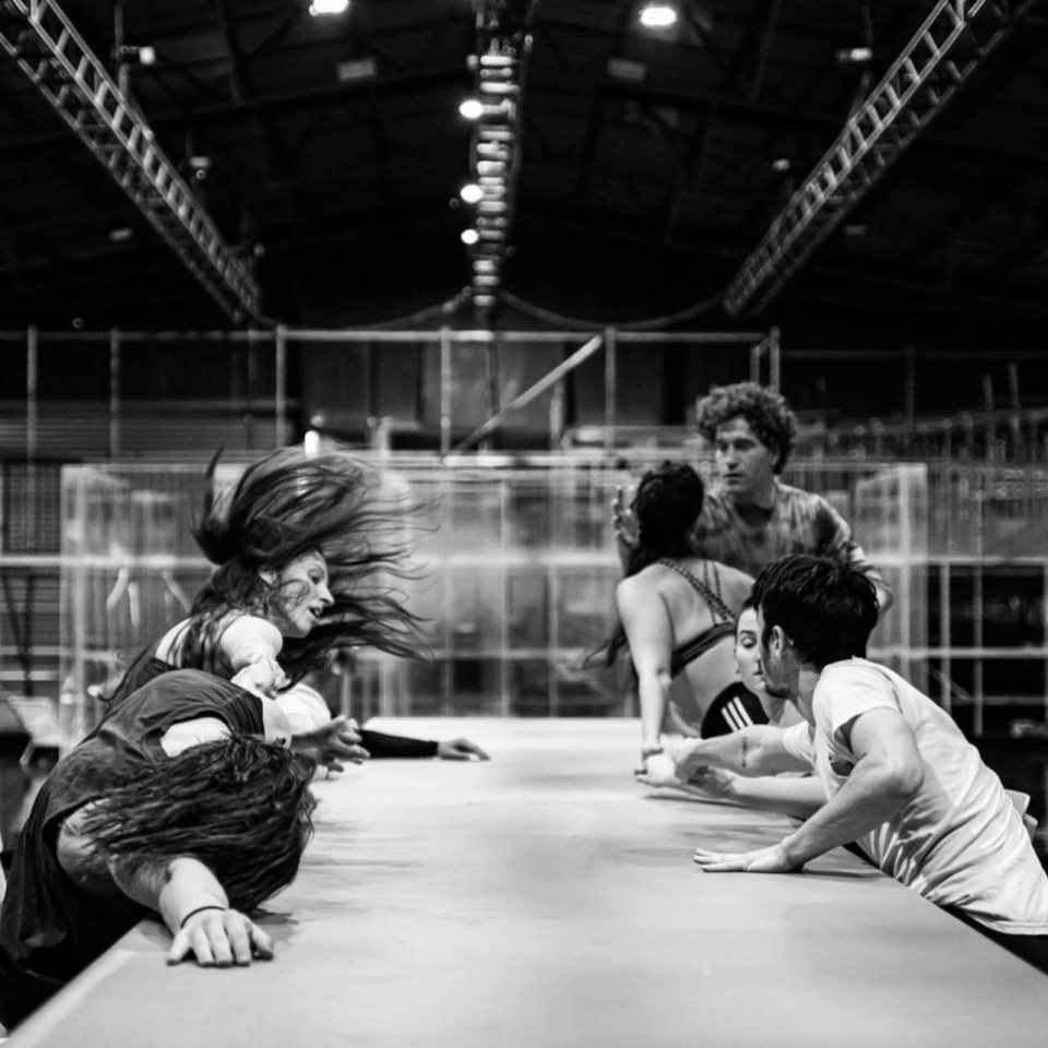 Salamander rehearsals