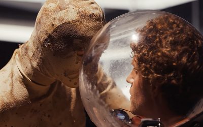 Watch the trailer for Salamander