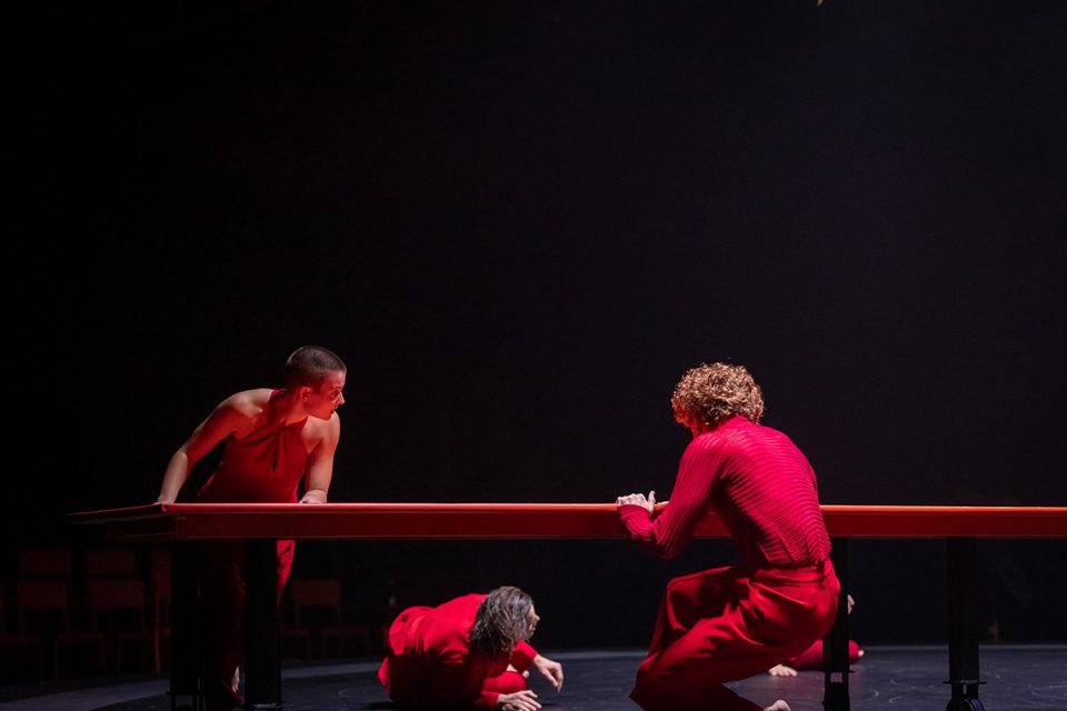 Salamander presented by Brisbane Festival. Photo by Atmosphere Photography